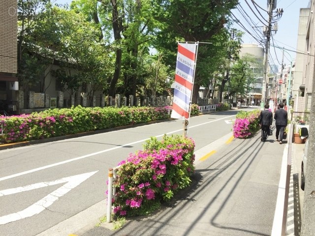 バンブースポット 画像