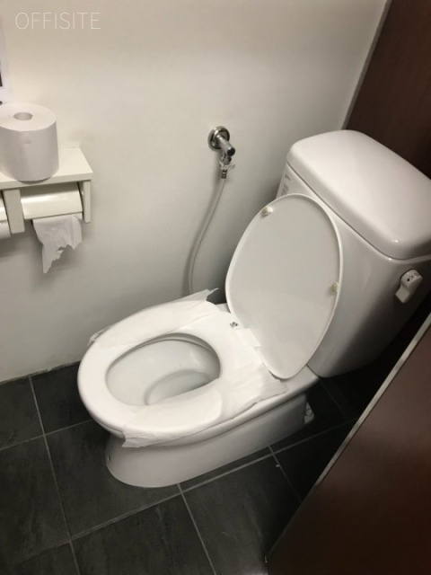 ALビル(ハローオフィス錦糸町) トイレ