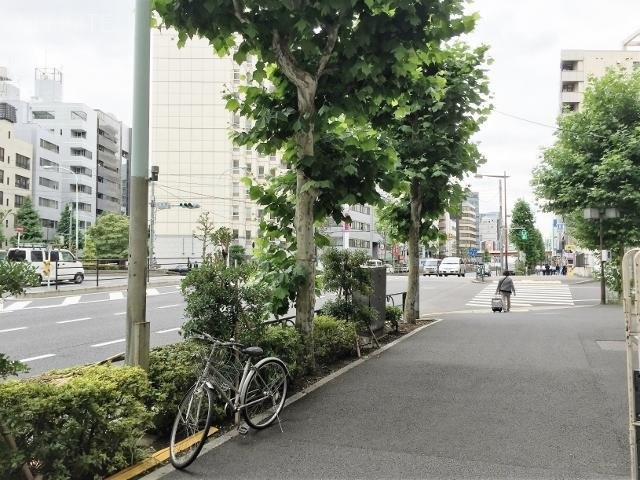 第一坂本ビル ビル前面道路