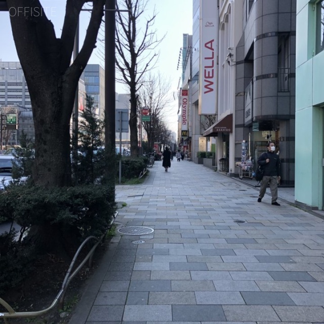 北青山三丁目1棟一括貸ビル ビル前面道路