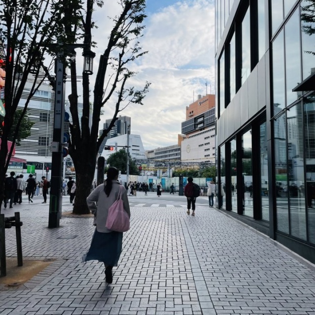 新宿東口大野ビル 周辺