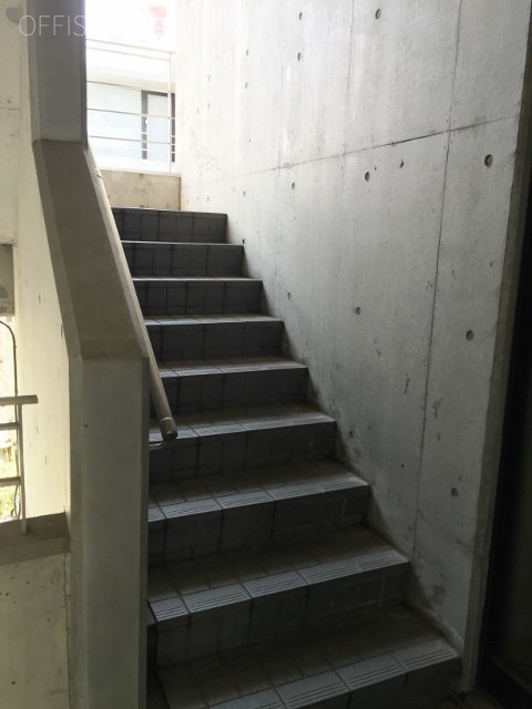F93 Harajuku 画像