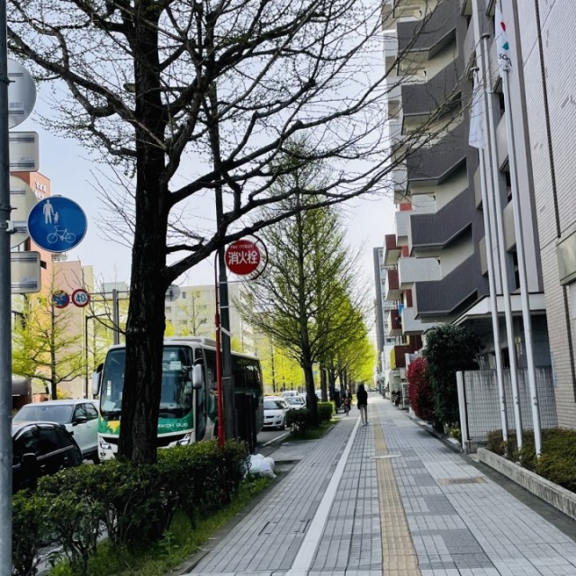 浅沼北四ビル 前面道路