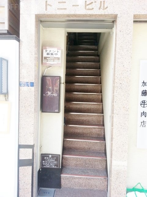 トニービル 画像