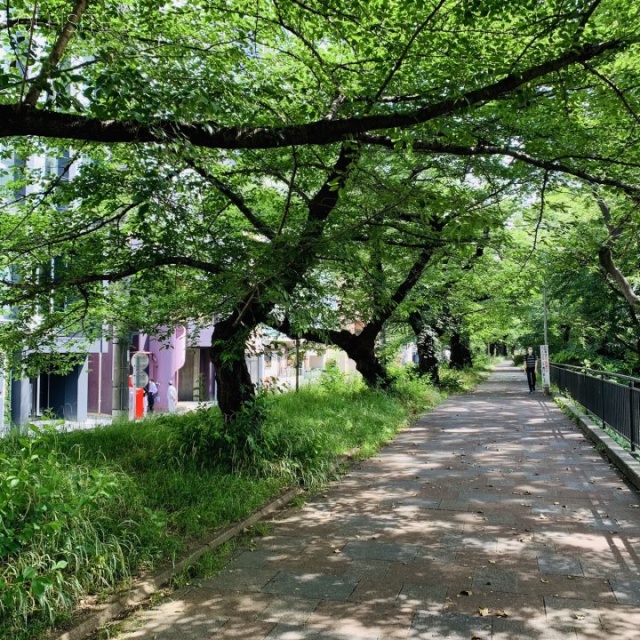 Nーcross KUDAN 外濠公園の緑道が目の前