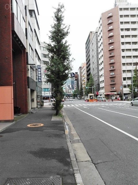 よこいビル ビル周辺道路