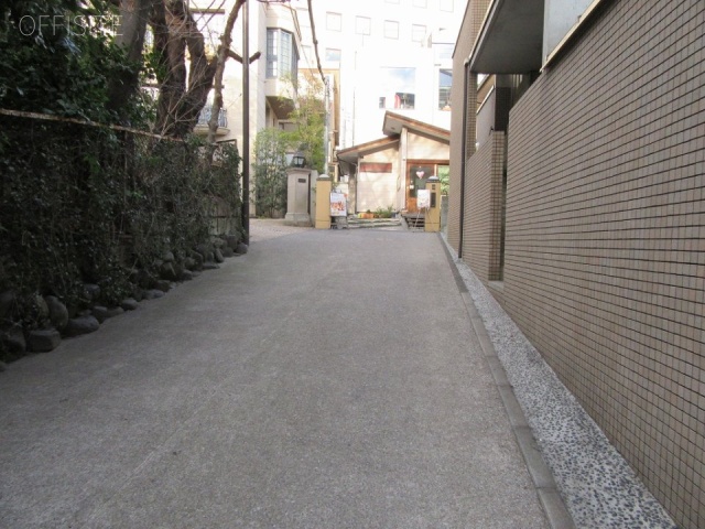南青山アイビーハウス ビル前面道路