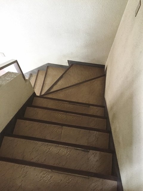 ウィルコート 階段