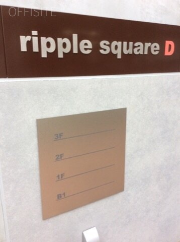 ripple square Dビル 画像