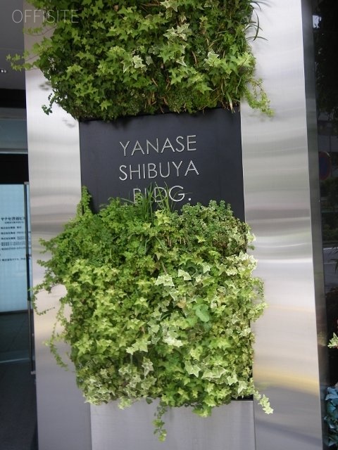 ヤナセ渋谷ビル IMGP0492 (480x640).jpg