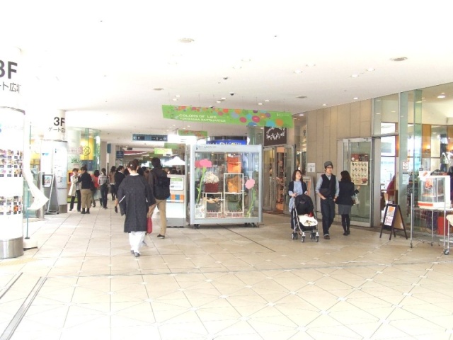 横浜ベイクォータービル 画像