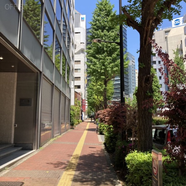 小川町進興ビル ビル前面道路