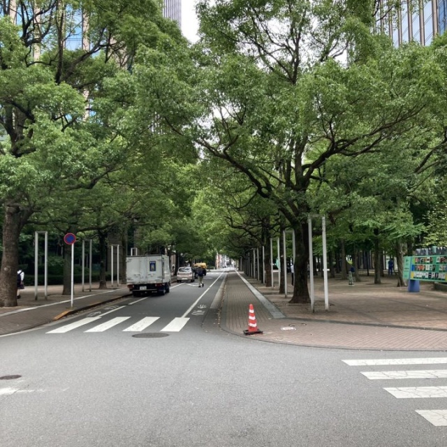 いちご大森ビル ビル前面道路