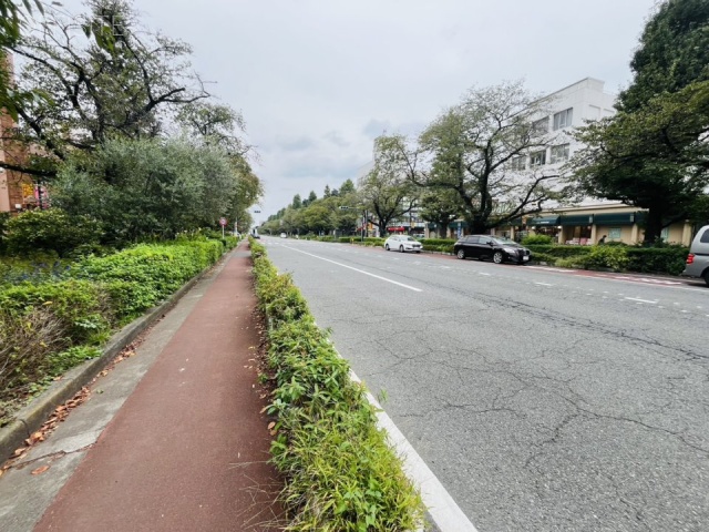 国立東加賀屋ビル　前面道路