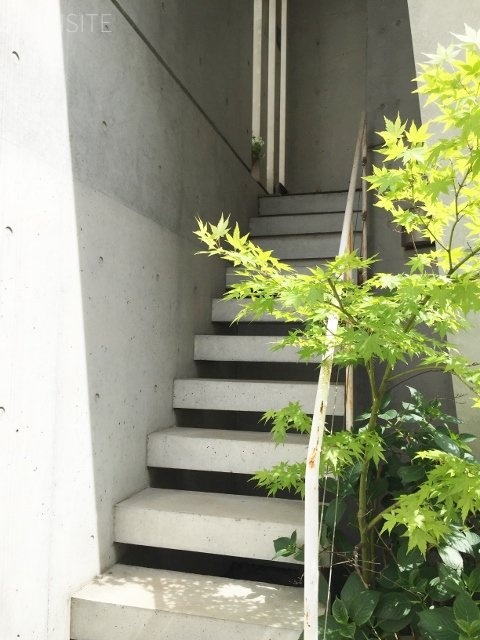 SUGAWARA’S HOUSEビル 画像