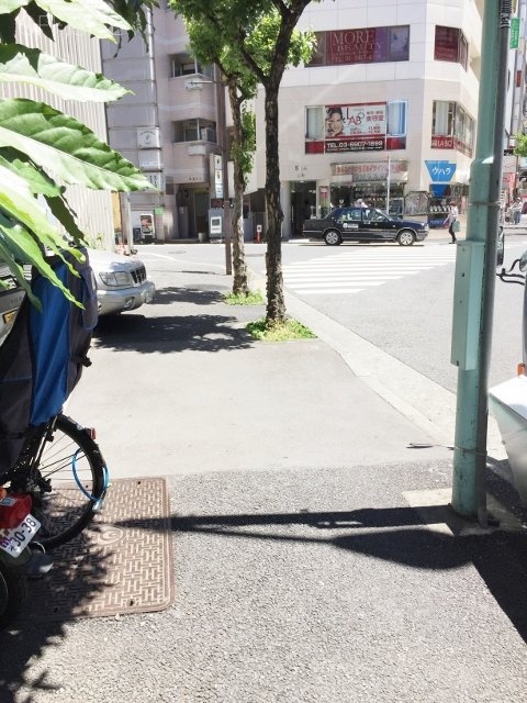 フェリース西池袋ビル IMG_0540 (480x640).jpg