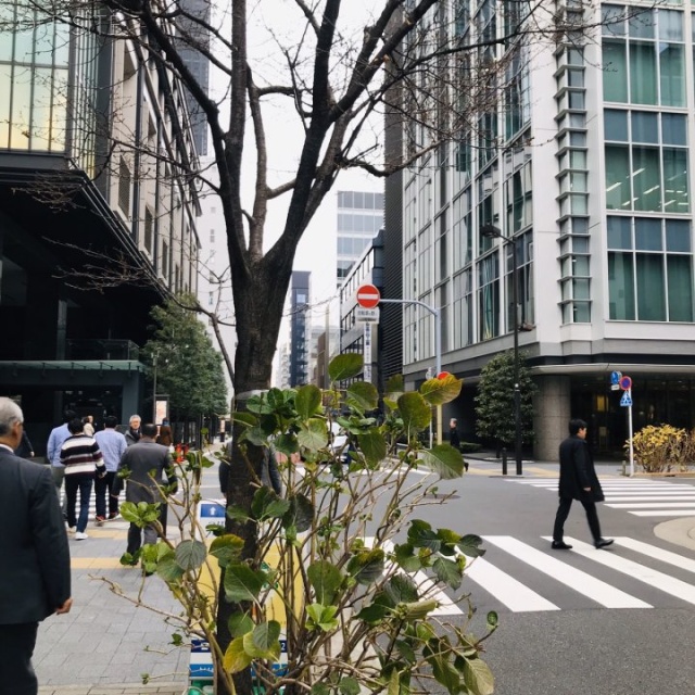 ナカヤビル ビル前面道路