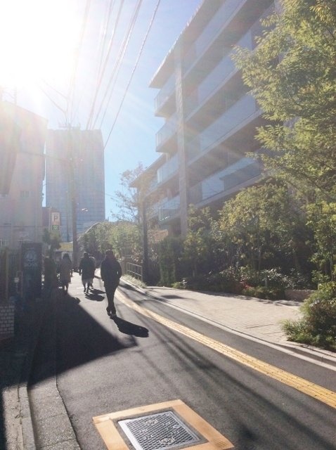 エルヴェ内堀 ビル周辺道路