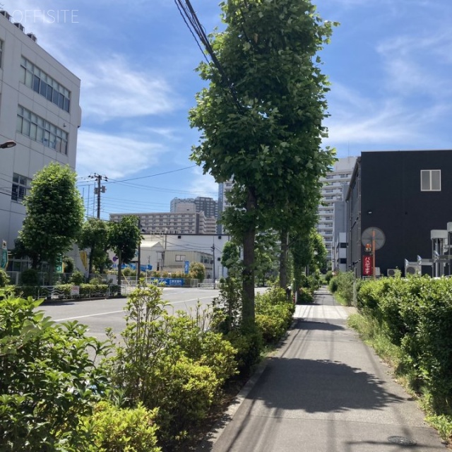 キャッスルビル東雲 ビル前面道路