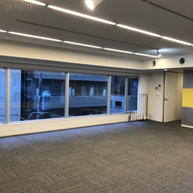 デュープレックス銀座タワー8/14　402号室 室内