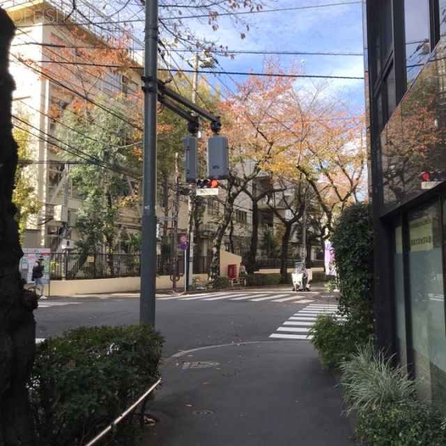 城所(きどころ)ビル ビル前面道路