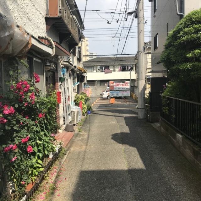 新宿YTビル ビル前面道路