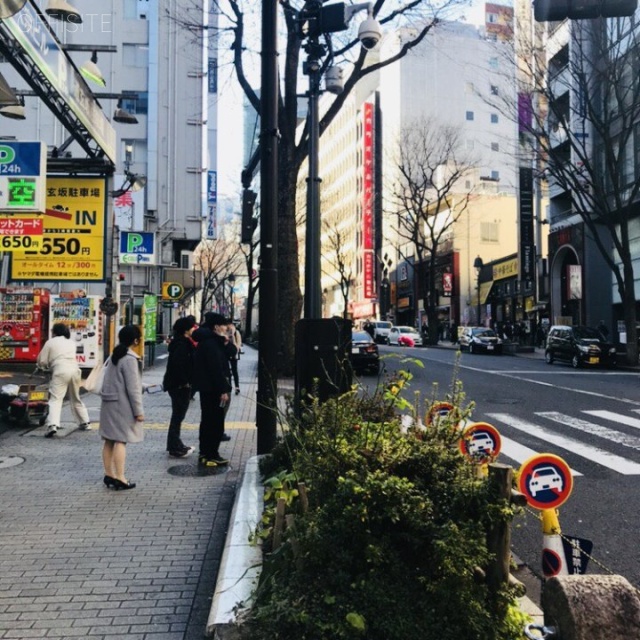 世界堂ビル ビル前面道路