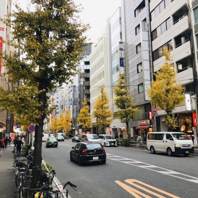 冨士野ビル ビル前面道路