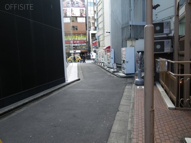 ロイスダールビル 画像