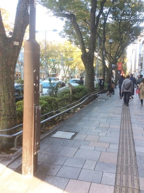 ヴァンテヴェールビル ビル周辺道路