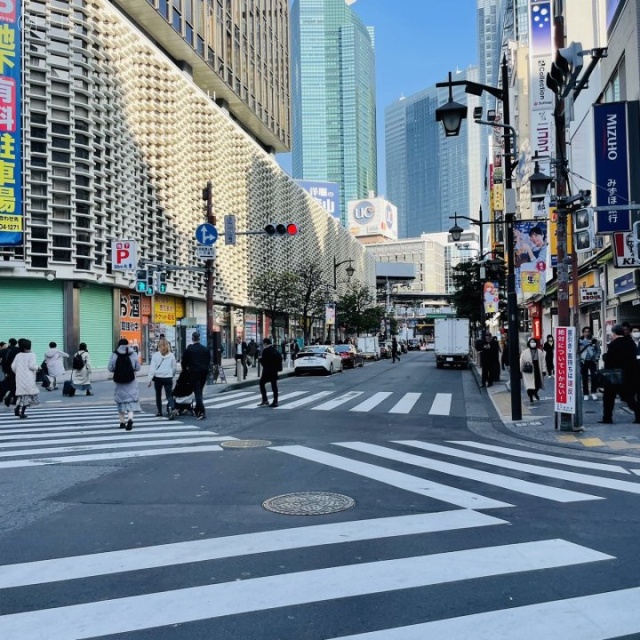 LiFEREE WORK新橋(ニュー新橋ビル) 前面道路