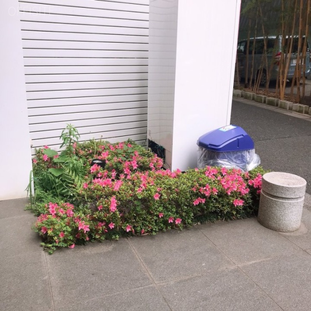 Reve南青山 外観