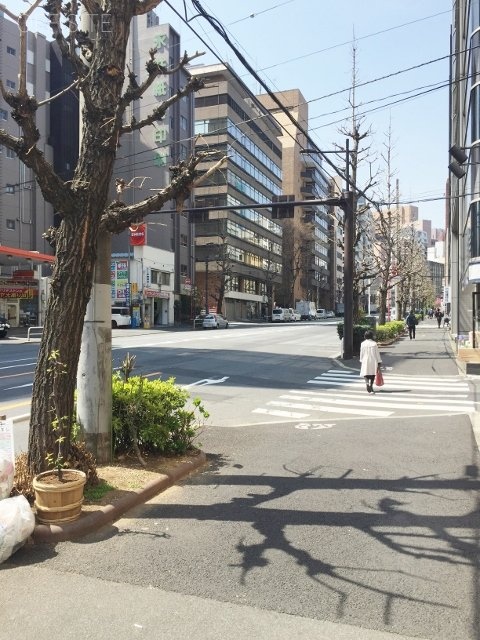 宮崎ビル 画像