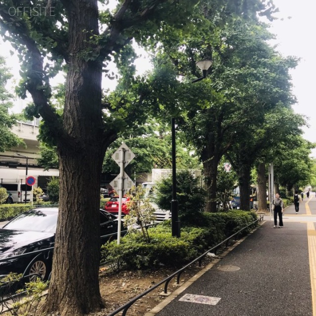 ダヴィンチ千駄ヶ谷 ビル前面道路