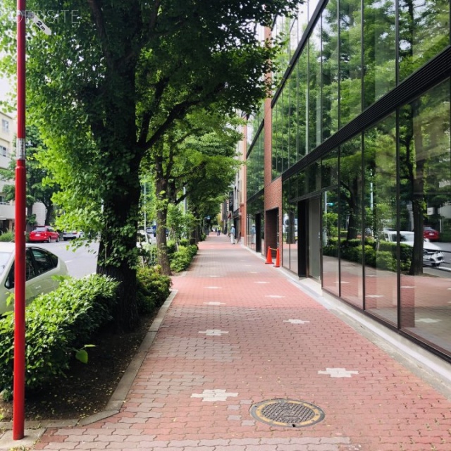 八芳園アーバンスクエア ビル前面道路