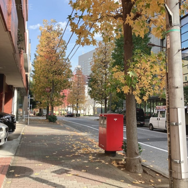 箱崎ダイヤマンション ビル前面道路