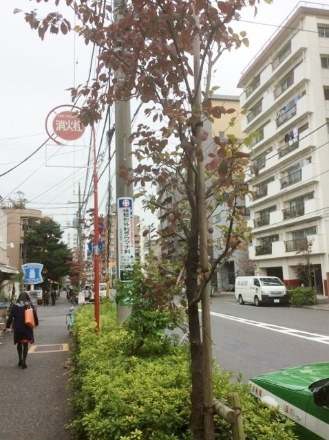 パレトジュネスビル ビル周辺道路