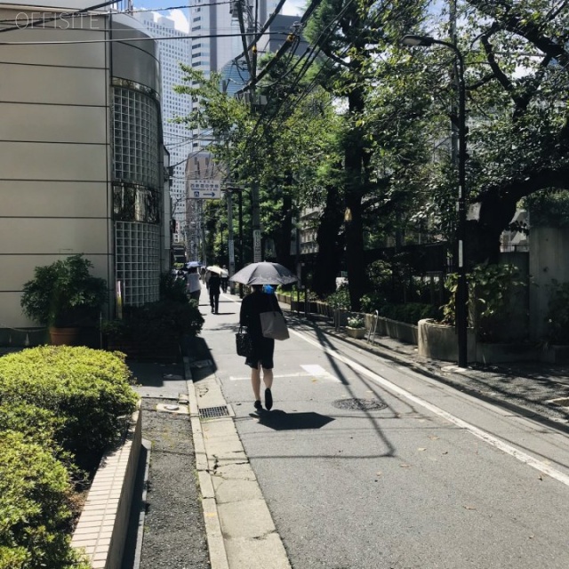 西新宿ワイビル ビル前面道路