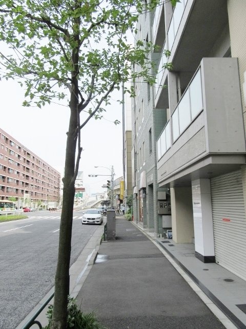 第2幸ビル ビル前面道路