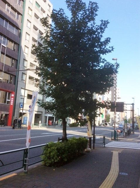 扶桑御徒町ビル ビル周辺道路