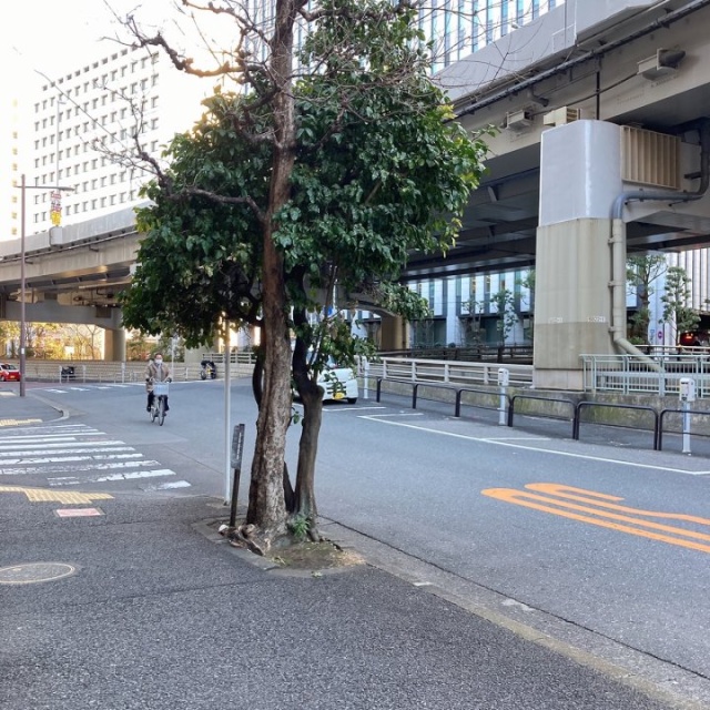 メゾン千代田 ビル前面道路