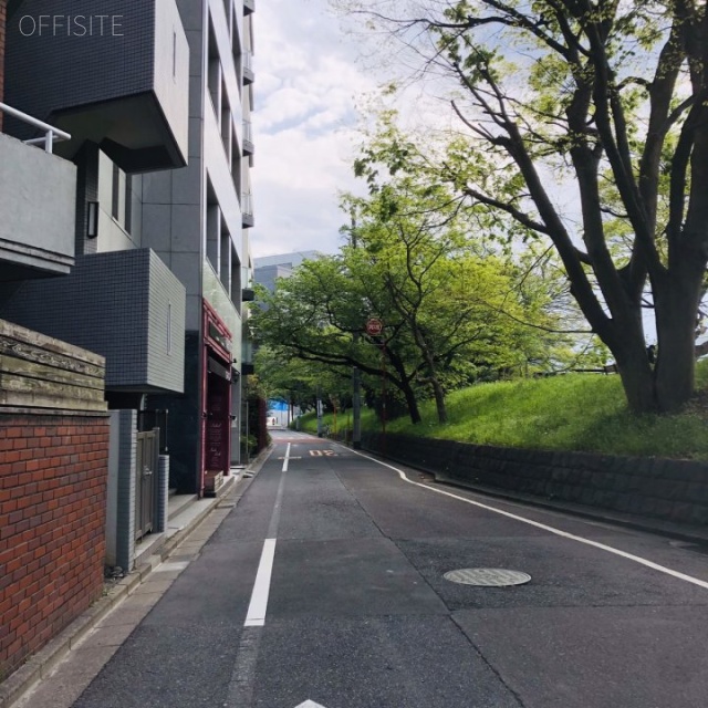 中野ビル ビル前面道路