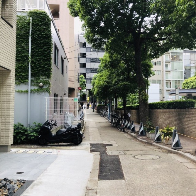 エルセリート赤坂 ビル前面道路