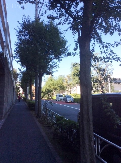 フレンシア外苑西ビル ビル周辺道路