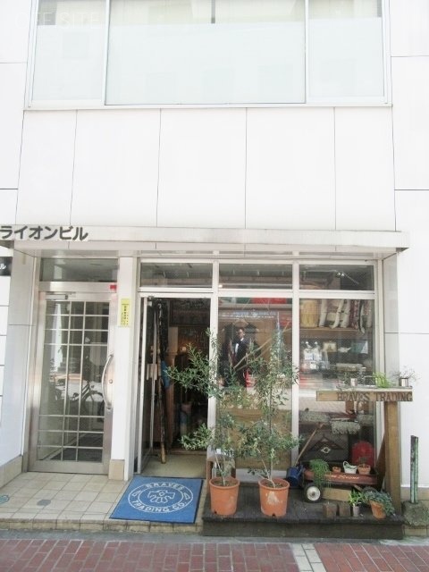 ライオンビル 画像