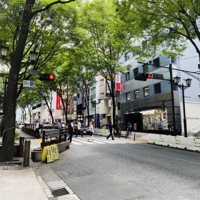 第106東京ビル 前面道路