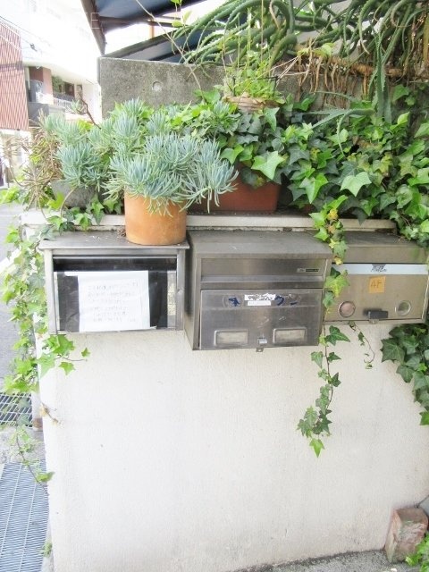 天崎ビル 画像