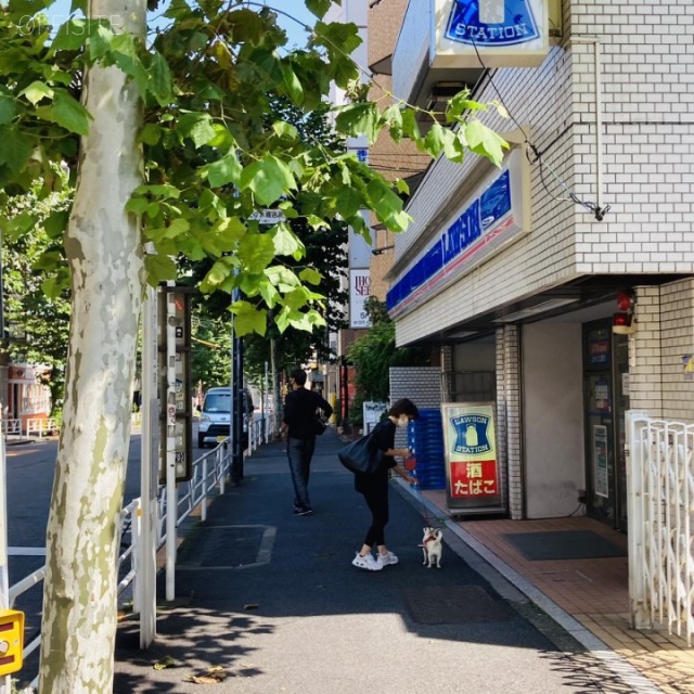 ザ・パークレックス代々木 ビル前面道路