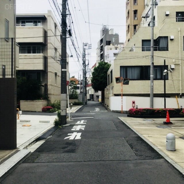 ワイズ松濤 ビル前面道路