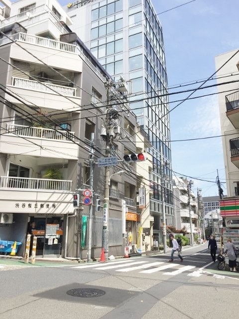 ビラ桜丘ビル 画像